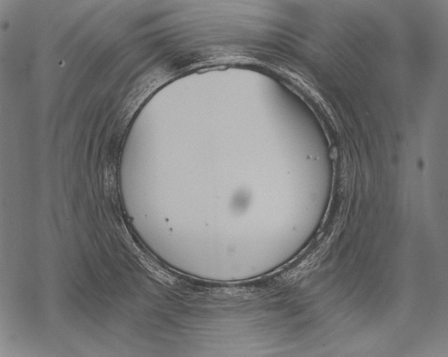 X0000068751281200605191549