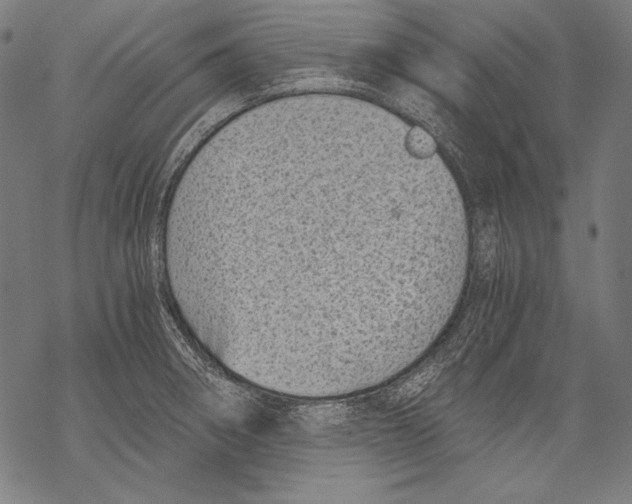 X0000068751282200605191549