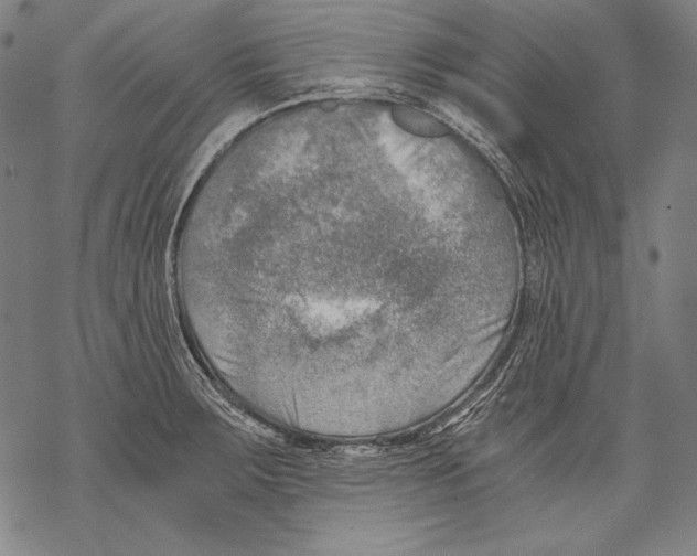 X0000068751283200605191549