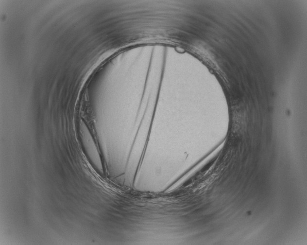 X0000068751284200605191549