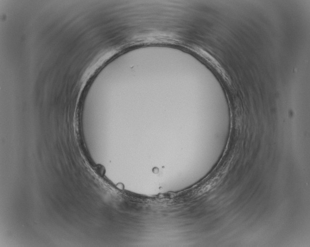 X0000068751285200605191549