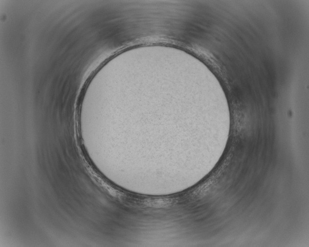 X0000068751286200605191549