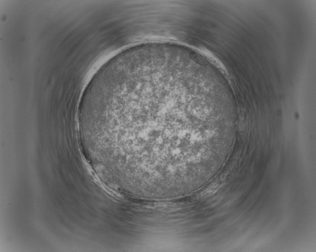 X0000068751287200605191549