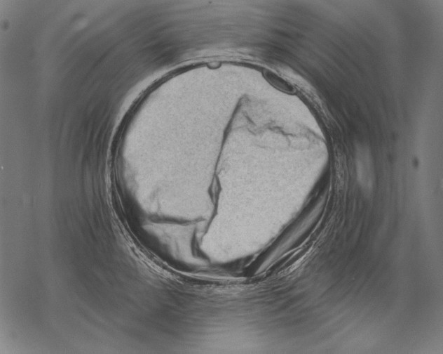 X0000068751288200605191549