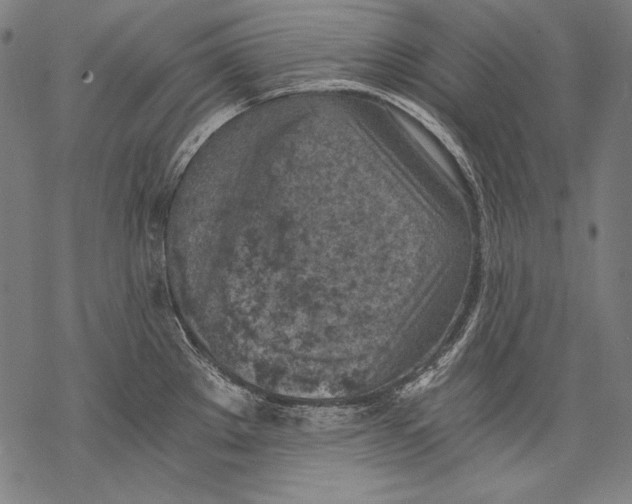 X0000068751289200605191549