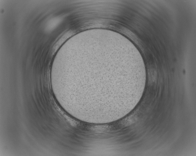 X0000068751290200605191549