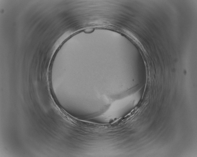 X0000068751291200605191549