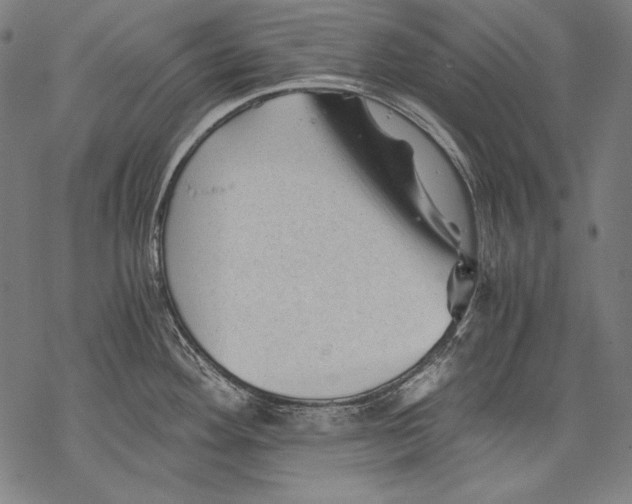 X0000068751292200605191549