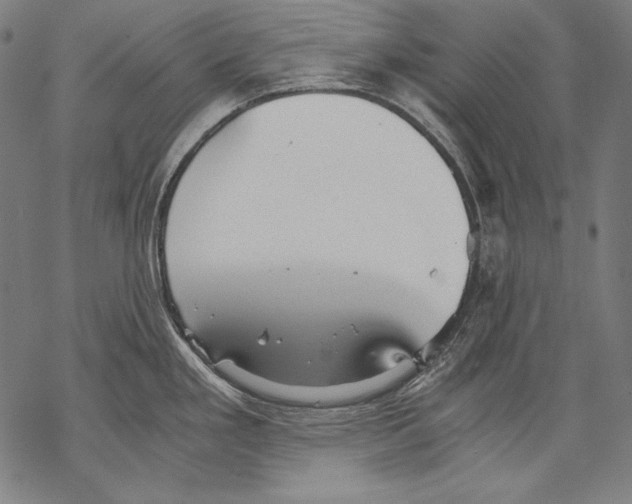 X0000068751293200605191549