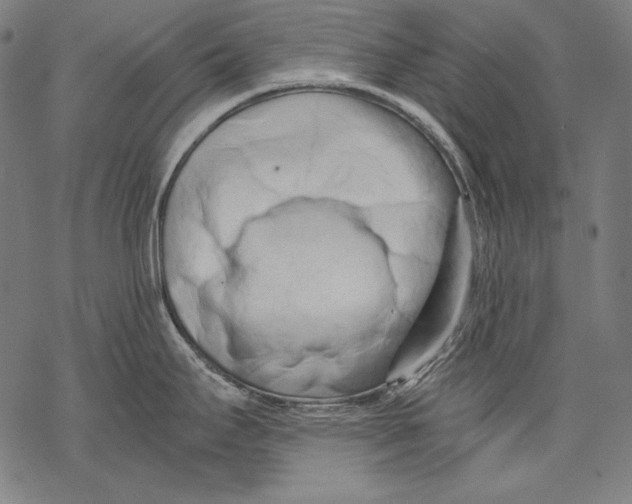 X0000068751295200605191549