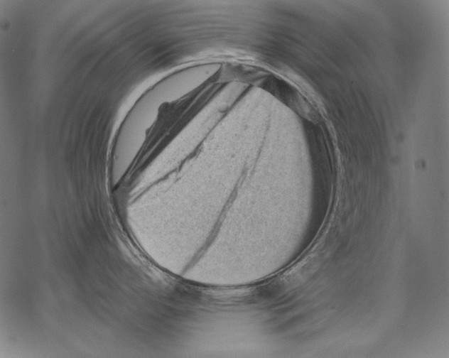 X0000068751296200605191549