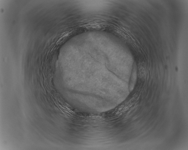 X0000068751297200605191548