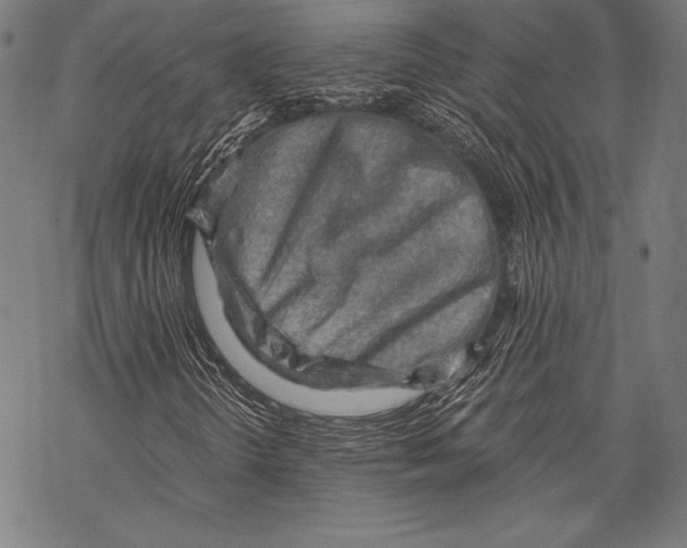 X0000068751298200605191548