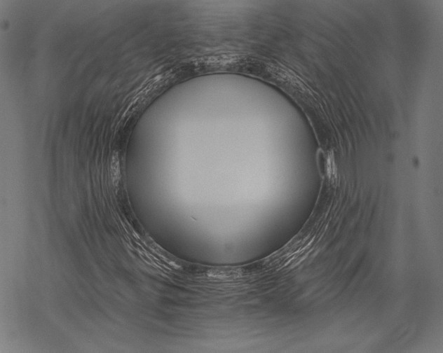X0000068751299200605191548