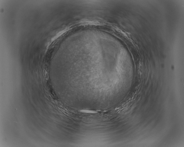 X0000068751303200605191548