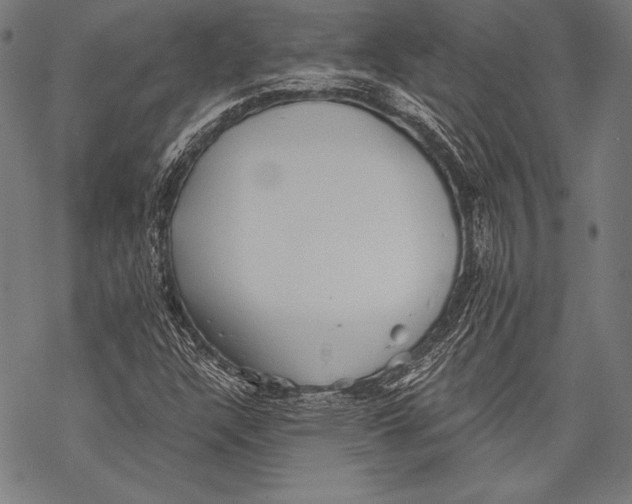 X0000068751304200605191548