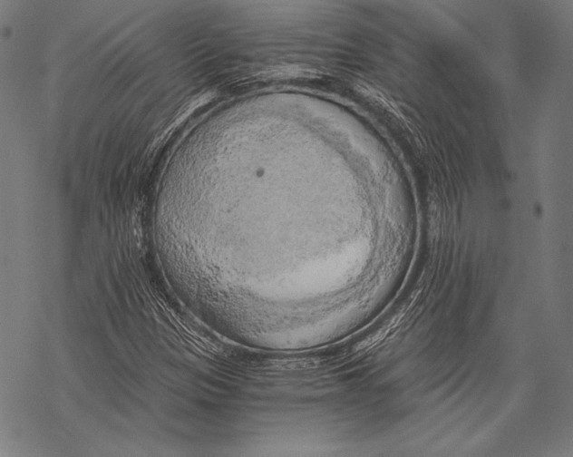 X0000068751305200605191548