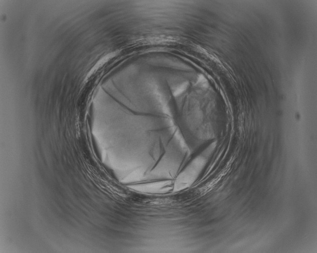 X0000068751306200605191548