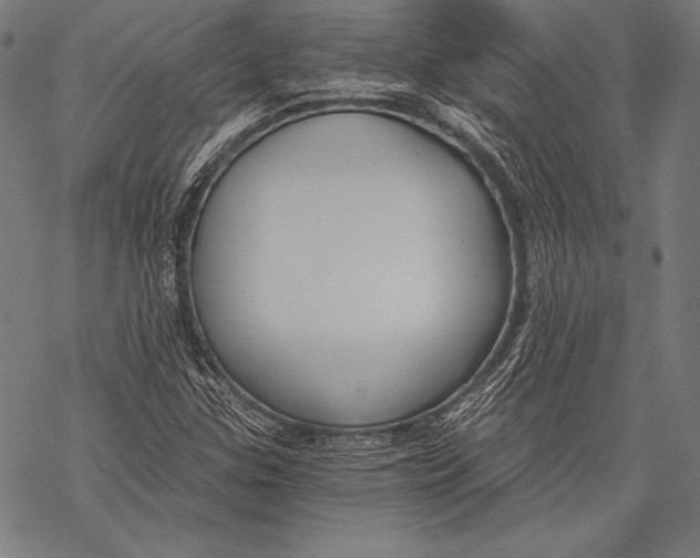 X0000068751307200605191548