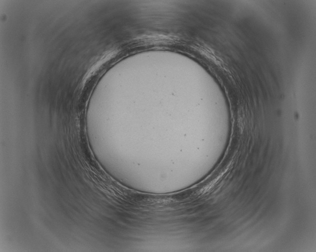 X0000068751309200605191548