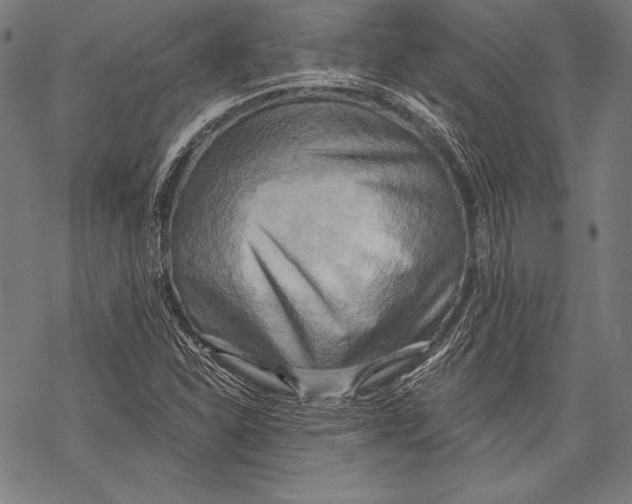 X0000068751310200605191548