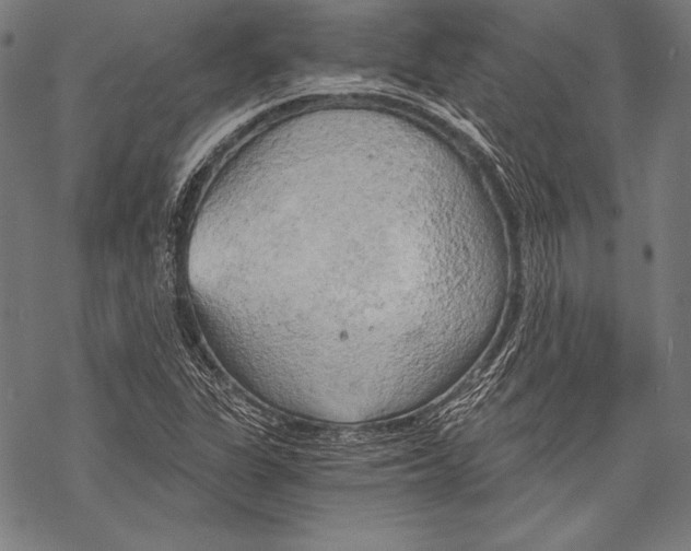 X0000068751311200605191548