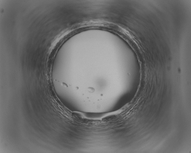 X0000068751312200605191548