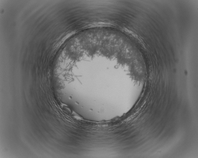 X0000068751313200605191548