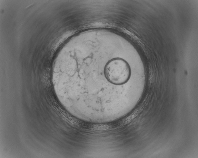 X0000068751314200605191548