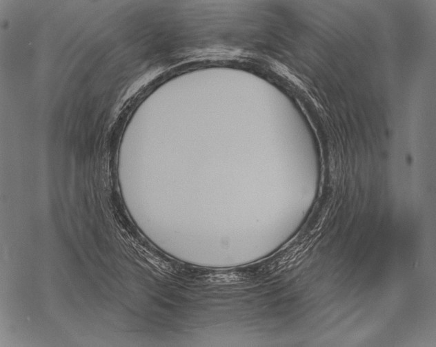 X0000068751315200605191548