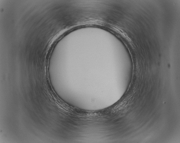 X0000068751316200605191548