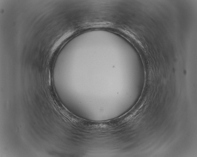 X0000068751317200605191549