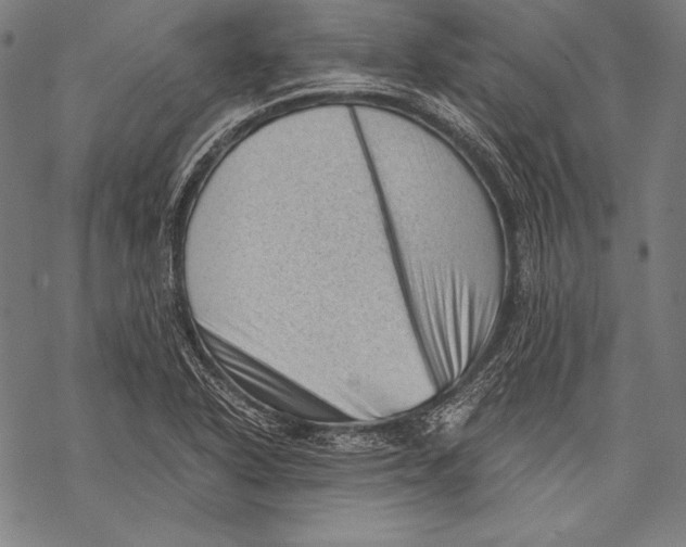 X0000068751318200605191549