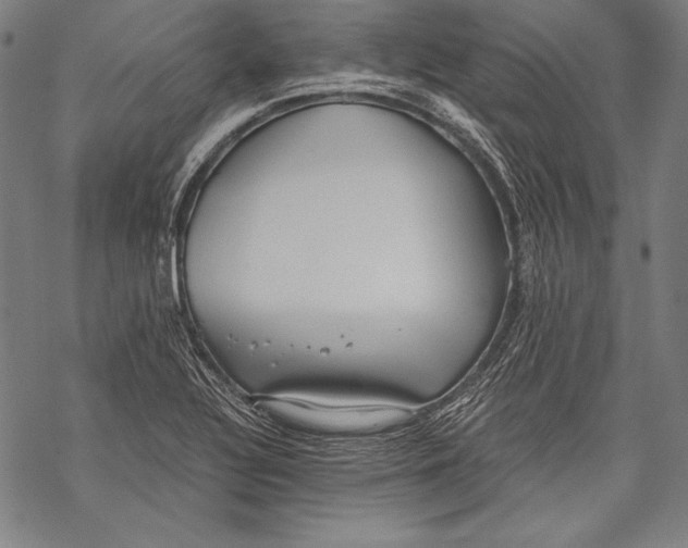 X0000068751320200605191549