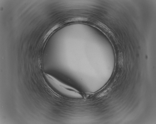 X0000068751321200605191549