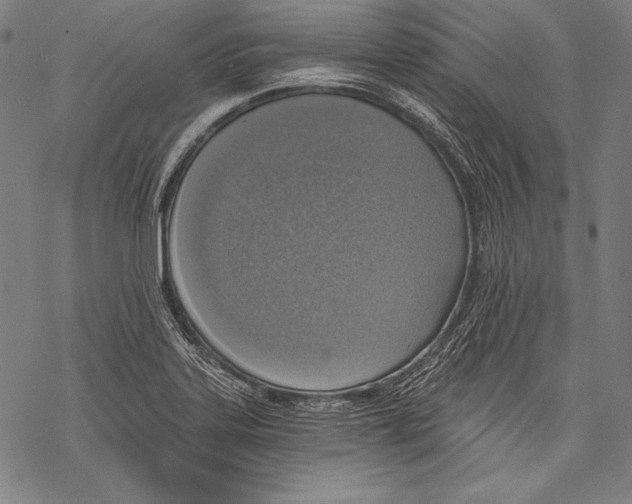 X0000068751323200605191549