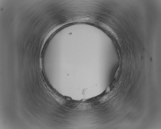 X0000068751324200605191549