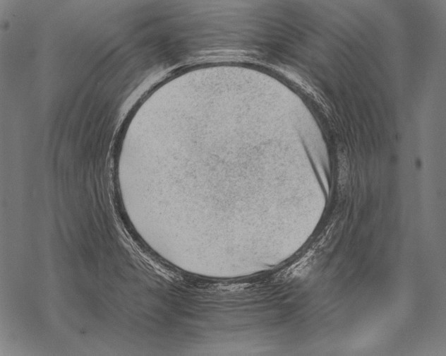 X0000068751325200605191549