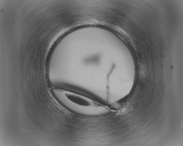 X0000068751326200605191549