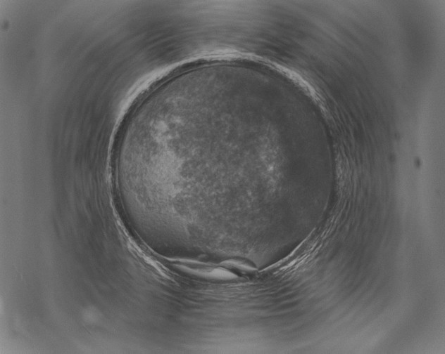 X0000068751327200605191549