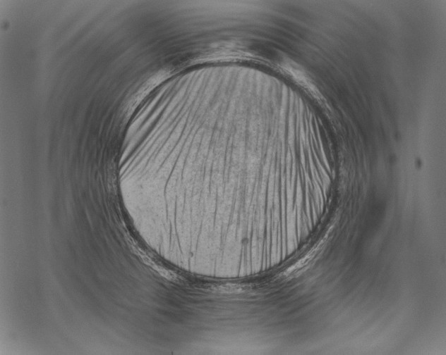 X0000068751329200605191549