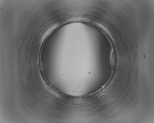 X0000068751330200605191549