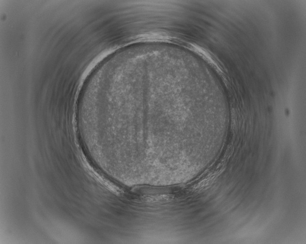 X0000068751331200605191549