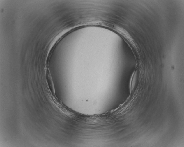 X0000068751332200605191549