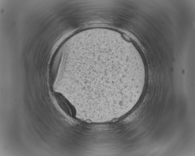 X0000068751333200605191549