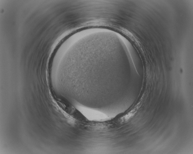 X0000068751334200605191549