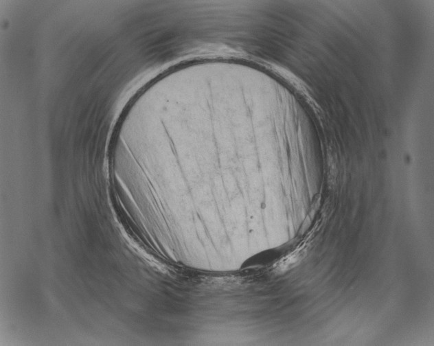 X0000068751335200605191549