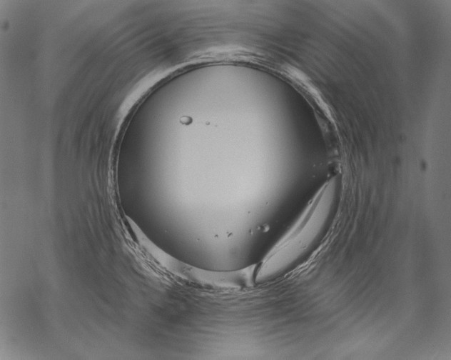 X0000068751336200605191549