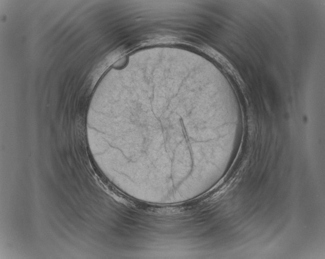 X0000068751337200605191549