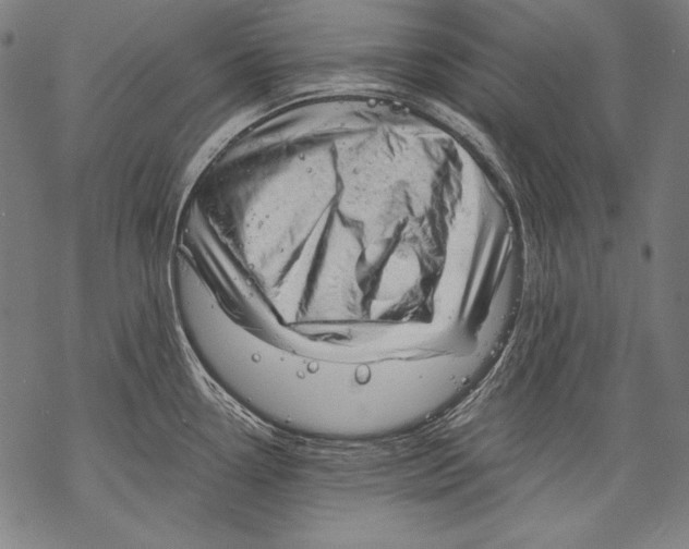 X0000068751338200605191549